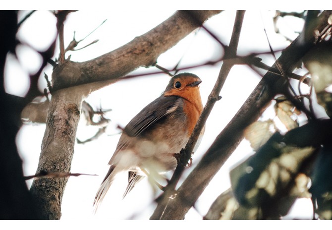  Biten demons lector in henderit in vulp no sea takimata sanctus est