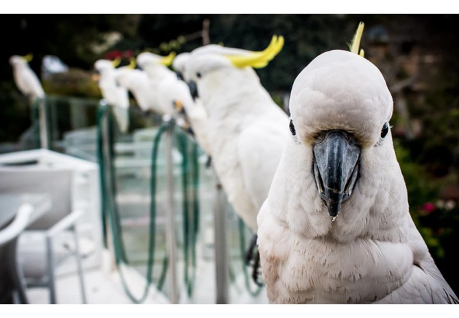  Duis autem vel eum iriure dolor in hendrit in vulputate velit