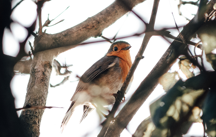  Biten demons lector in henderit in vulp no sea takimata sanctus est