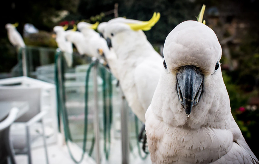 Duis autem vel eum iriure dolor in hendrit in vulputate velit